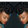 Natural Hair Updo Hairstyles (Photo 5 of 15)