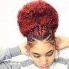 Braided Hairstyles For Natural Hair (Photo 13 of 15)