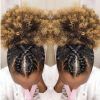 Tapered Tail Braided Hairstyles (Photo 14 of 25)