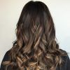 Subtle Brown Blonde Ombre Hairstyles (Photo 15 of 25)