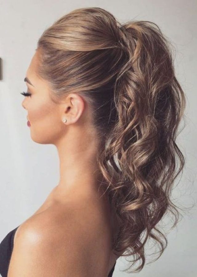 2024 Best of Ponytail Updo Hairstyles