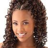 Angled Braided Hairstyles On Crimped Hair (Photo 1 of 25)
