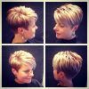 Pixie Wedge Hairstyles (Photo 7 of 25)