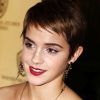 Brunette Pixie Hairstyles (Photo 8 of 15)