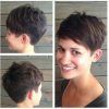 Straight Pixie Hairstyles For Thick Hair (Photo 4 of 25)