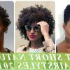 Natural Short Haircuts For Black Women (Photo 21 of 25)