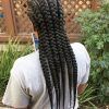 Chunky Black Ghana Braids Ponytail Hairstyles (Photo 16 of 25)
