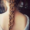 Triple The Braids Hairstyles (Photo 13 of 15)