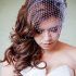 15 Best Collection of Wedding Hairstyles for Long Hair with Birdcage Veil