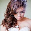 Wedding Hairstyles For Long Hair With Birdcage Veil (Photo 1 of 15)