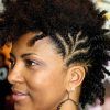 Braided Hairstyles For Short African American Hair (Photo 1 of 15)