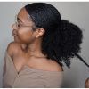 Pony Hairstyles For Natural Hair (Photo 8 of 25)
