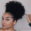 Afro Style Ponytail Hairstyles (Photo 6 of 25)