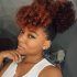 25 the Best Pony Hairstyles for Natural Hair