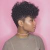 Black Women Natural Short Hairstyles (Photo 10 of 25)