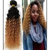 Brown To Blonde Ombre Curls Hairstyles (Photo 12 of 25)