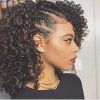 Braided Hairstyles With Curly Hair (Photo 6 of 15)