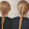 Fantastical French Braid Ponytail Hairstyles (Photo 18 of 25)