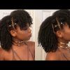 Mohawk Hairstyles With Braided Bantu Knots (Photo 25 of 25)