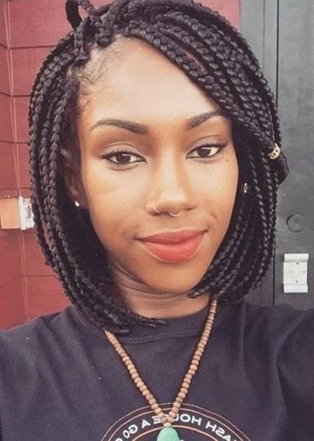 15 the Best Bob Braided Hairstyles