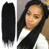 Braided Extension Hairstyles (Photo 4 of 15)