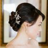 Bridal Chignon Hairstyles With Headband And Veil (Photo 21 of 25)
