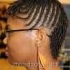 Braided Hairstyles For Afro Hair (Photo 2 of 15)