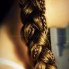 Pony Hairstyles With Accent Braids (Photo 12 of 25)