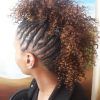 Small Braids Mohawk Hairstyles (Photo 9 of 25)
