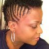 Braided Mohawk Hairstyles For Short Hair (Photo 1 of 25)