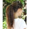 Side Ponytail Braided Hairstyles (Photo 12 of 15)