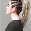 Cornrow Fishtail Side Braid Hairstyles (Photo 23 of 25)