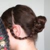 Braided Victorian Hairstyles (Photo 4 of 15)