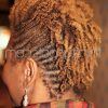 Twisted And Braided Mohawk Hairstyles (Photo 24 of 25)