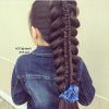 Ponytail And Lacy Braid Hairstyles (Photo 11 of 25)