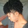 Braided Hairstyles On Natural Hair (Photo 15 of 15)