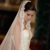 Bride Hairstyles For Long Hair With Veil (Photo 12 of 15)