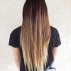 Subtle Brown Blonde Ombre Hairstyles (Photo 23 of 25)