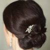 Chignon Updo Hairstyles (Photo 11 of 15)