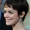 Short Pixie Hairstyles For Round Faces (Photo 15 of 15)