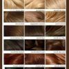 Brown Blonde Sweeps Of Color Hairstyles (Photo 15 of 25)