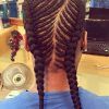 Cornrow Hairstyles For Long Hair (Photo 12 of 15)