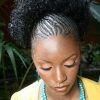 Cornrows Hairstyles With Afro (Photo 4 of 15)