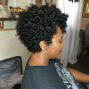 Soft Curly Tapered Pixie Hairstyles (Photo 8 of 25)