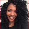 Curly Hairstyle With Crochet Braids (Photo 3 of 15)