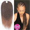 Twists Micro Braid Hairstyles With Curls (Photo 22 of 25)