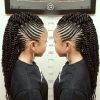 Twisted Braids Mohawk Hairstyles (Photo 5 of 25)