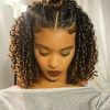 Braided Hairstyles For Curly Hair (Photo 1 of 15)