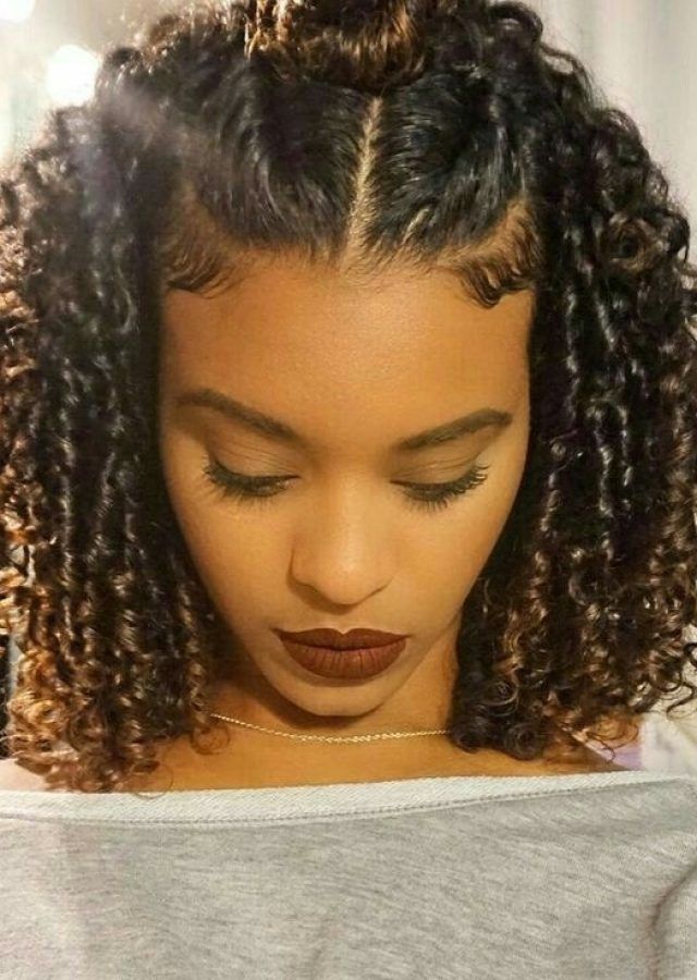 The 15 Best Collection of Braided Hairstyles for Curly Hair