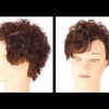 Curly Pixie Hairstyles With Segmented Undercut (Photo 7 of 25)